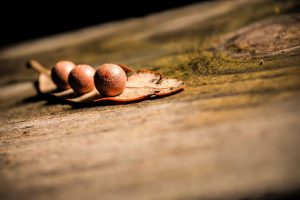 Eum adipisci consequuntur et beatae